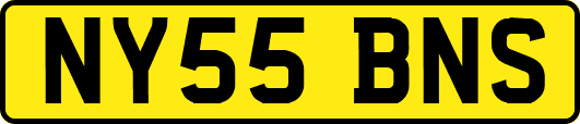NY55BNS