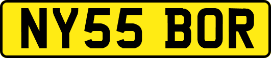 NY55BOR