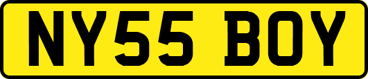 NY55BOY