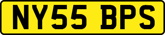 NY55BPS