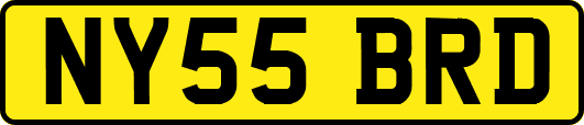 NY55BRD