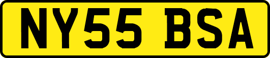 NY55BSA