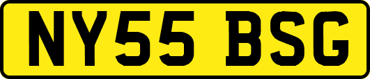 NY55BSG