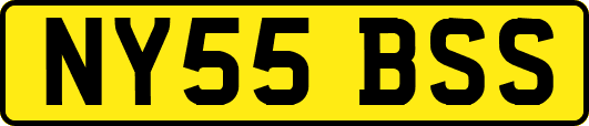 NY55BSS