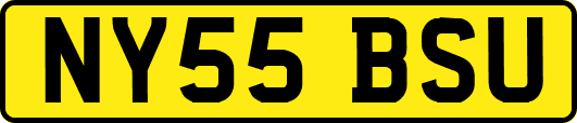 NY55BSU