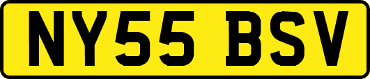 NY55BSV