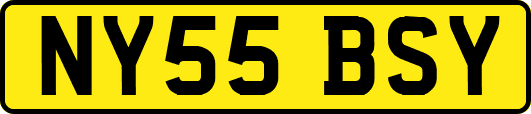 NY55BSY