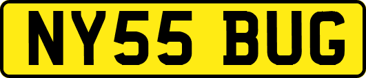 NY55BUG