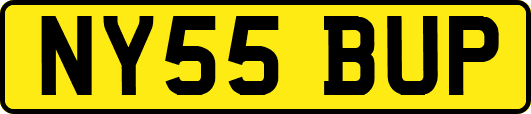 NY55BUP