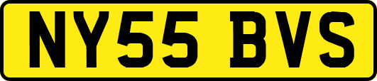 NY55BVS