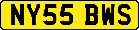 NY55BWS