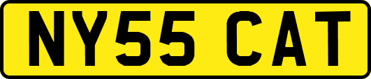 NY55CAT