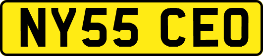 NY55CEO