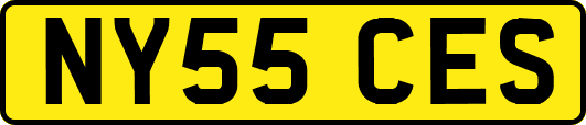 NY55CES