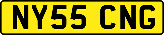 NY55CNG
