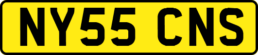 NY55CNS