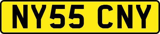 NY55CNY