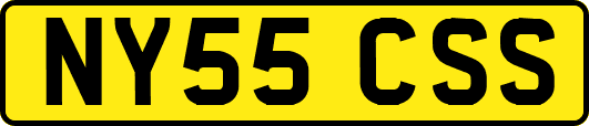 NY55CSS