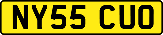 NY55CUO