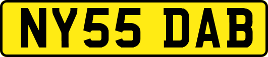 NY55DAB