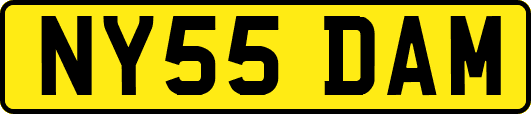 NY55DAM