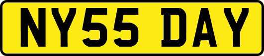 NY55DAY