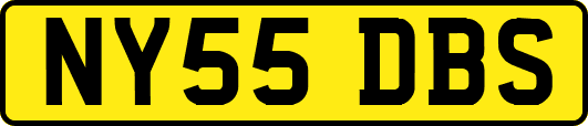 NY55DBS