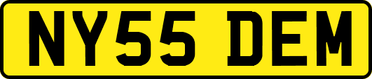 NY55DEM