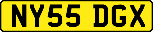 NY55DGX