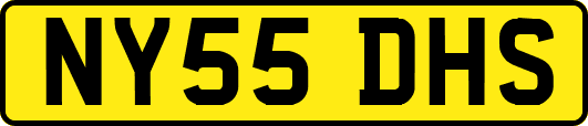 NY55DHS