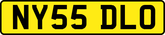 NY55DLO