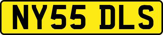 NY55DLS