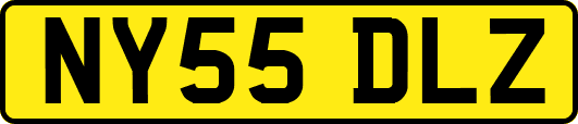 NY55DLZ