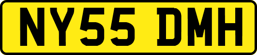 NY55DMH