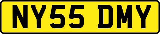 NY55DMY