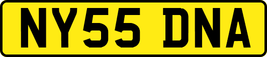 NY55DNA
