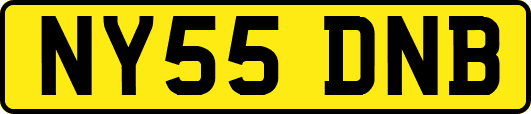 NY55DNB