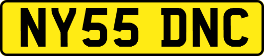 NY55DNC