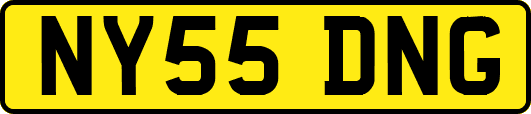 NY55DNG