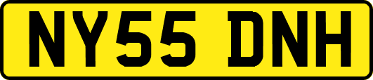 NY55DNH