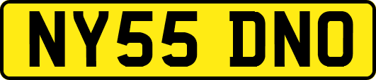NY55DNO