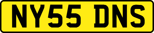 NY55DNS
