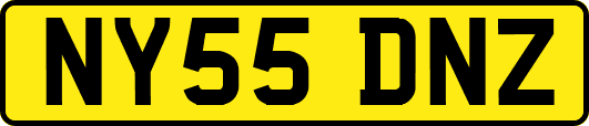 NY55DNZ