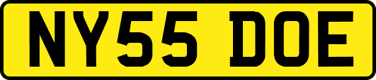 NY55DOE