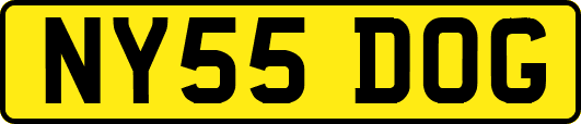 NY55DOG