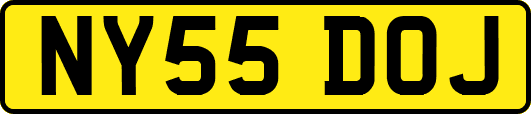 NY55DOJ