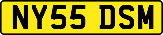 NY55DSM