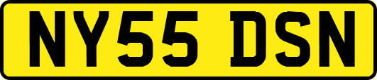 NY55DSN