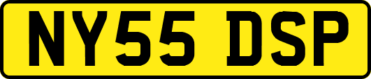 NY55DSP