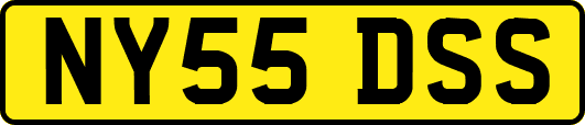 NY55DSS